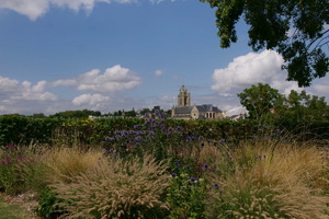 Caviste Sainte-Geneviève-des-Bois